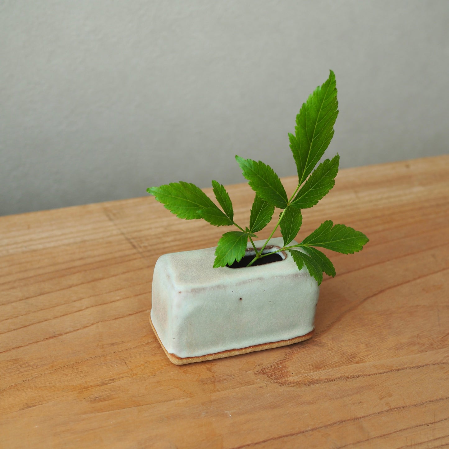 Cube M-wide Green